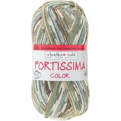 Schoeller Stahl Fortissima color 9048