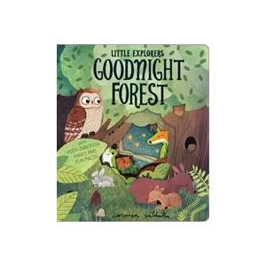 Goodnight Forest (ISBN: 9781912756131)