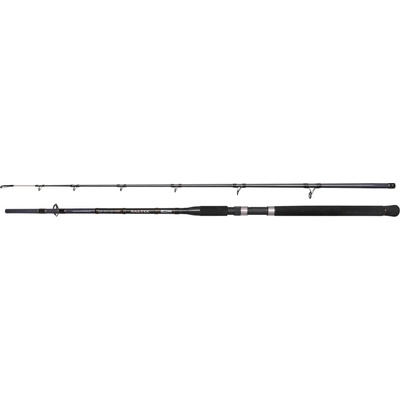 Spro SALTIX 250 2,4 m 100-250 g 2 díly