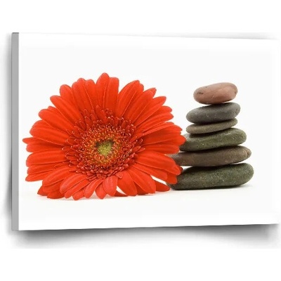 Sablio Obraz Gerbera s kameňmi - 60x40 cm