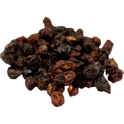 Salvia Paradise Schizandra čínská plod HQ 10 ks 100 g – Zbozi.Blesk.cz