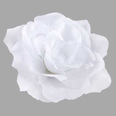 Ruža francúzska hlava 13 cm, Pure white 12 ks/bal, Biela