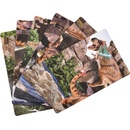 Mac Toys Collecta adventní kalendář Dinosauři