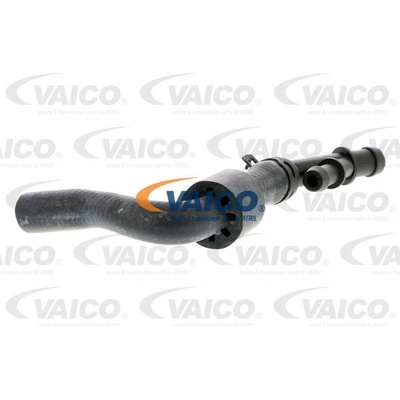 VAICO Hadice chladiče V103912