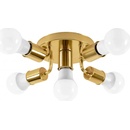 Toolight APP708-5c