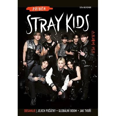 Příběh Stray Kids