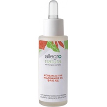 allegro natura Korean Active Niacinamide 5% 30 ml