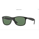 Ray-Ban RB4202 6069 71