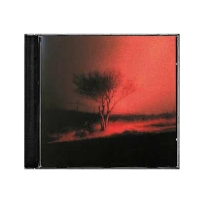 Joji: Piss in the Wind CD