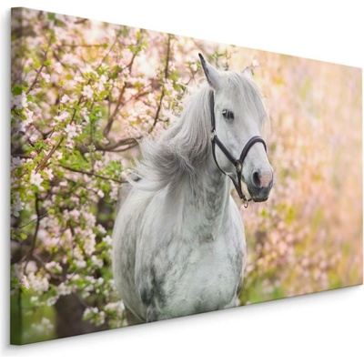 MyBestHome BOX Plátno Kůň A Jaro Varianta: 90x60