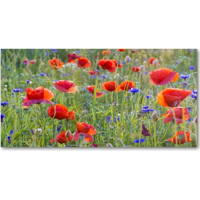 Foto obraz sklo tvrzené Plolní kvety 100x50 cm