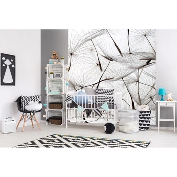 DIMEX ART s. r. o Флизелинов фототапет пух от глухарче 225 x 250 см