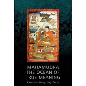 Mahamudra - The Ocean of True Meaning | Wangchug Dorje Karmapa, Henrik Havlat (ISBN: 9783744889568)