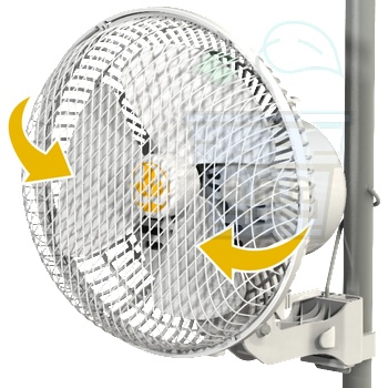 Image 1 of Secret Jardin Monkey 610723