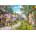 Gibsons - Puzzle Dominic Davison: A Tranquil Moment - 500 piese