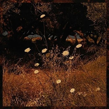 Earth Patterns - Szun Waves CD