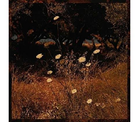 Earth Patterns - Szun Waves CD