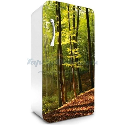 Dimex FR120-028 Samolepící fototapeta na lednice Forest rozměry 65 x 120 cm