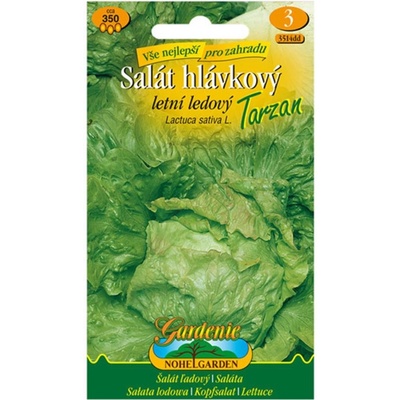 MORAVOSEED Salát hlávkový letní ledový TARZAN semínka