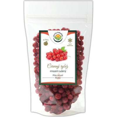 Salvia Paradise Červený rybíz sušený mrazem lyofilizovaný 25 g
