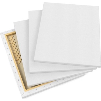 Dielo Платно PP2030 20 x 30 cm 1 бр (PP2030)