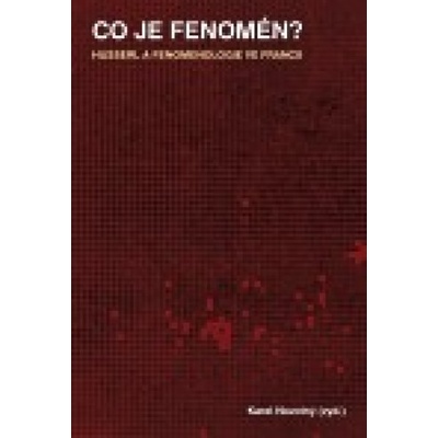 Co je fenomén?