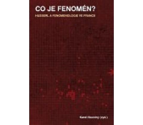 Co je fenomén?