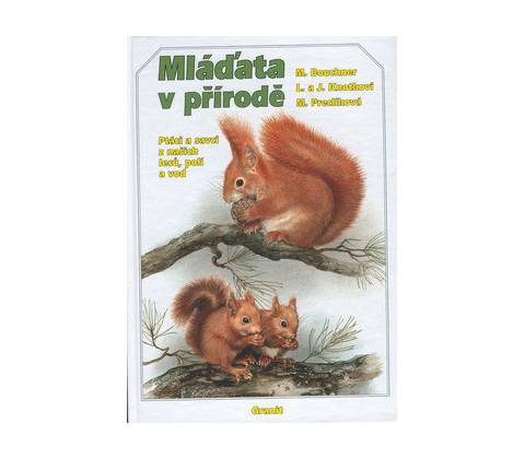 Mláďata v přírodě