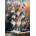 Alipson Puzzle - Puzzle Feline Winter - 1 000 piese