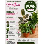  Комплект - floria-bg - 38,92 лв
