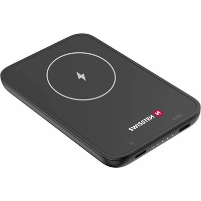 SWISSTEN 22013970