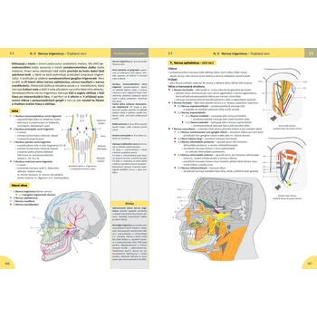 Memorix Anatomie - 5. vydání - Radovan Hudák, David Kachlík a kolektiv