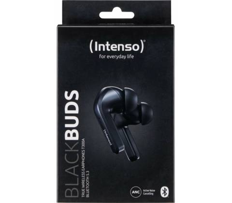 Intenso T300A