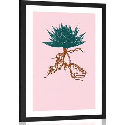 Plakát s paspartou výjimečná Aloe Vera - 40x60 no frame