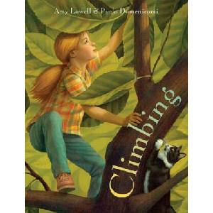 Climbing | Paolo Domeniconi (ISBN: 9781568464213)