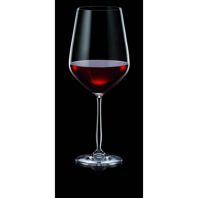 Maison Forine Súprava pohárov na červené víno Gourmet 4 x 800 ml