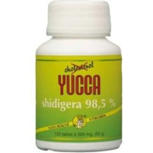 YUCCA schidigera 98,5% 120 tablet