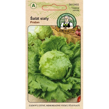 ŠALÁT HLÁVKOVÝ letný ľadový Pražan