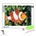Rila Crafts Диамантена мозайка - гоблен Rila Crafts, 30х40см, Немо - риба клоун (R1-12I)