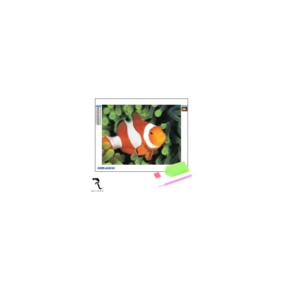 Rila Crafts Диамантена мозайка - гоблен Rila Crafts, 30х40см, Немо - риба клоун (R1-12I)
