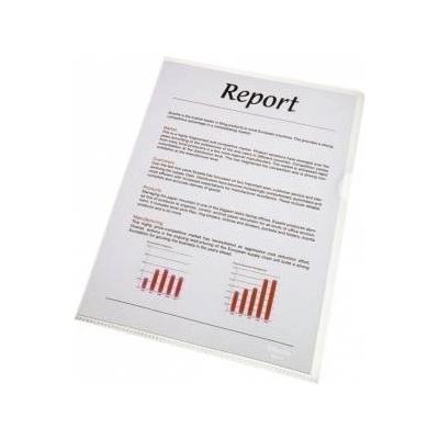 Esselte bidder A4 100 PCS (56218)