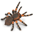Collecta Tarantula