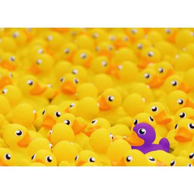 Ravensburger - Puzzle Challenge: Ducks 1000 - 1 000 piese