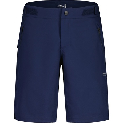 Maloja Bardin night sky