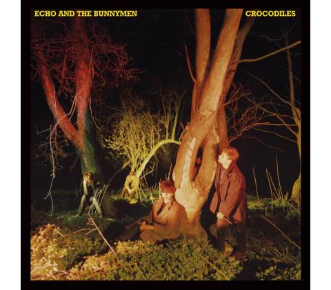 ECHO & THE BUNNYMEN - CROCODILES LP