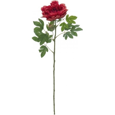 Větvička pivoňky, purpurová, 80 cm