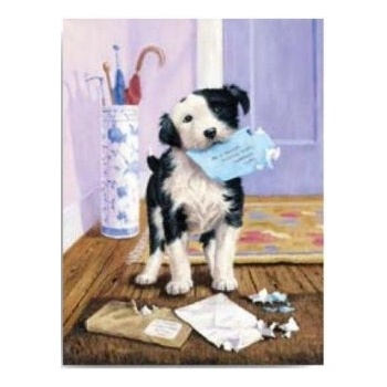 Malování podle čísel Pejsek s dopisem