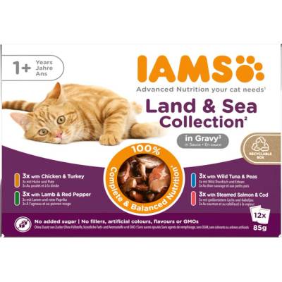 IAMS Advanced Nutrition Adult Land & Sea Mix 48 x 85 g v želé
