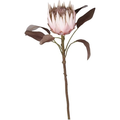 Dekorace květina Protea - 66 cm - Chic Antique