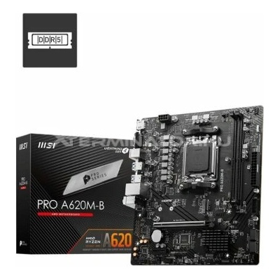MSI PRO A620M-B